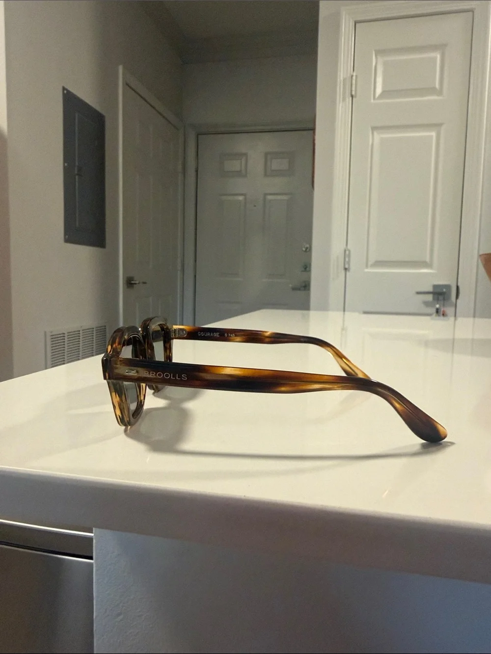 Broolls Tortoise Sunglasses with Case